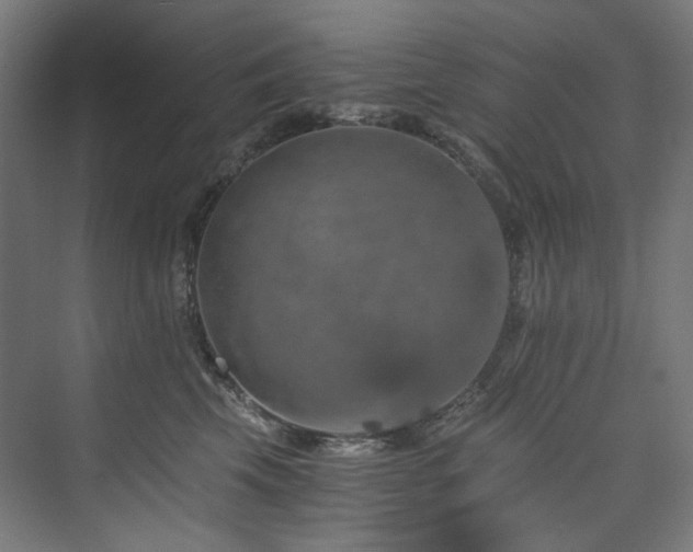 X0000074000569200608211417