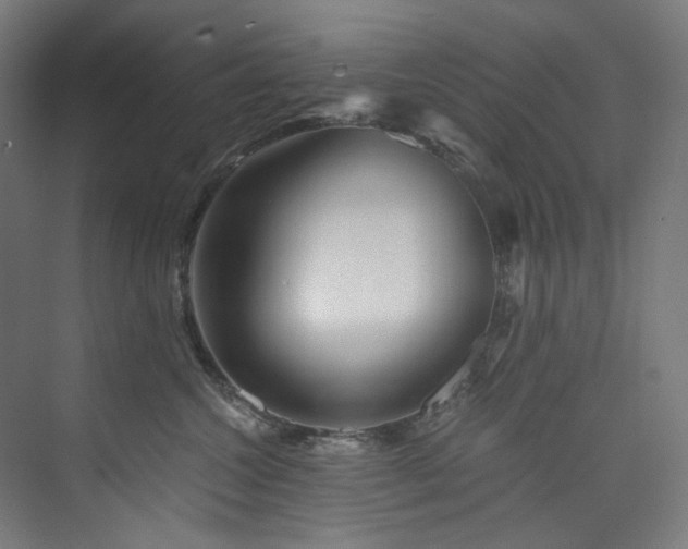 X0000074000572200608211417