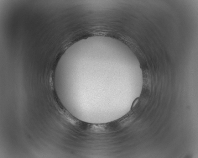 X0000074000573200608211417