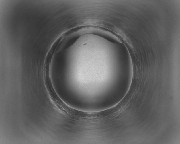 X0000074000580200608211416