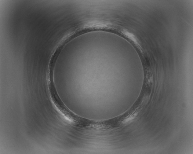 X0000074000582200608211416