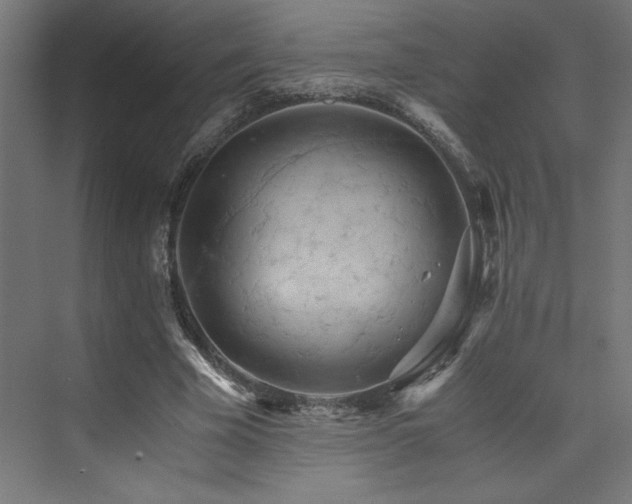 X0000074000585200608211416