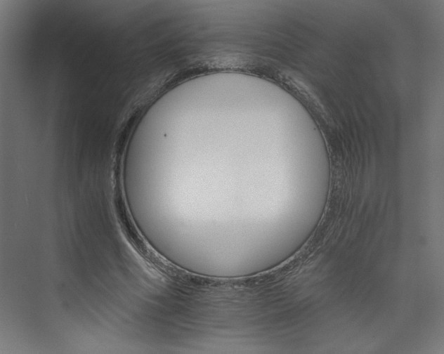X0000074000586200608211416