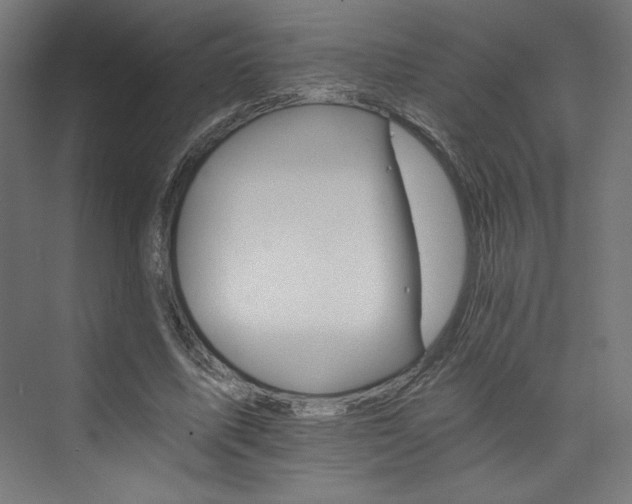 X0000074000587200608211416