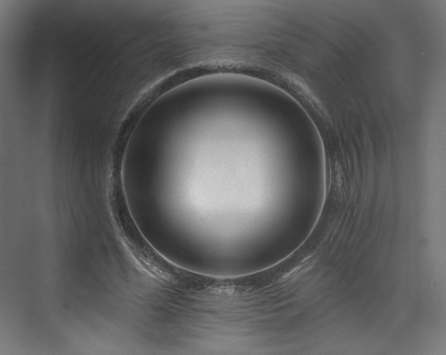 X0000074000588200608211416