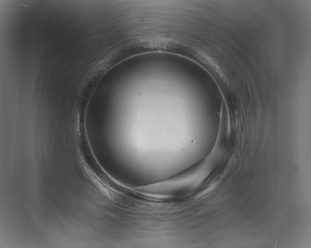 X0000074000589200608211416