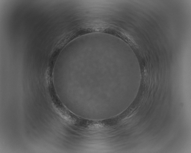 X0000074000594200608211416