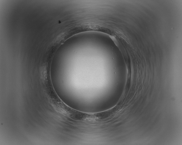 X0000074000595200608211416