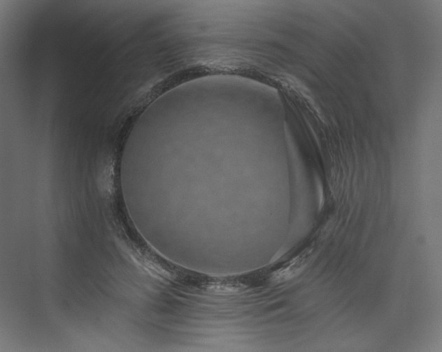 X0000074000596200608211416