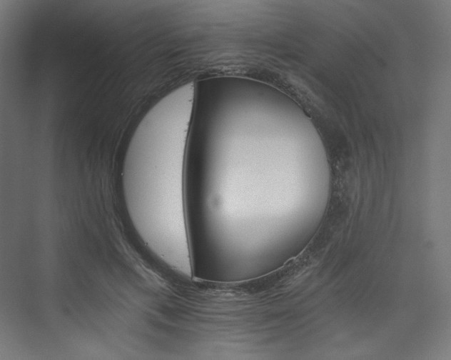 X0000074000597200608211416