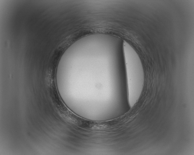 X0000074000599200608211416