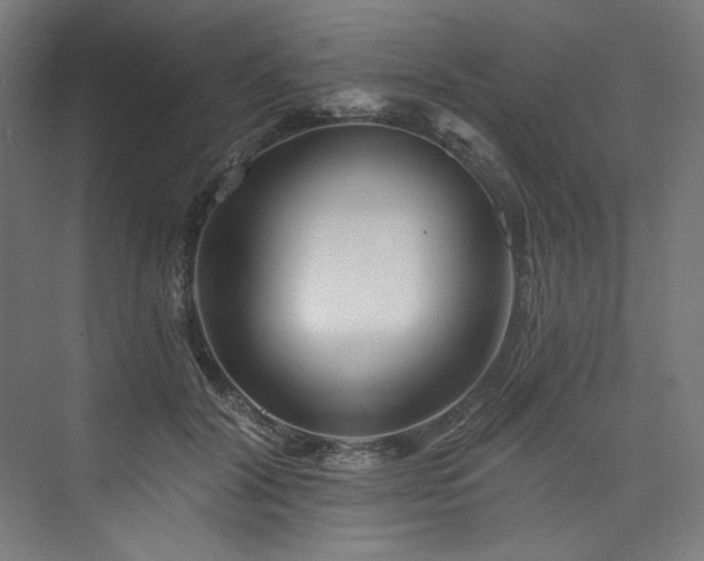 X0000074000604200608211416