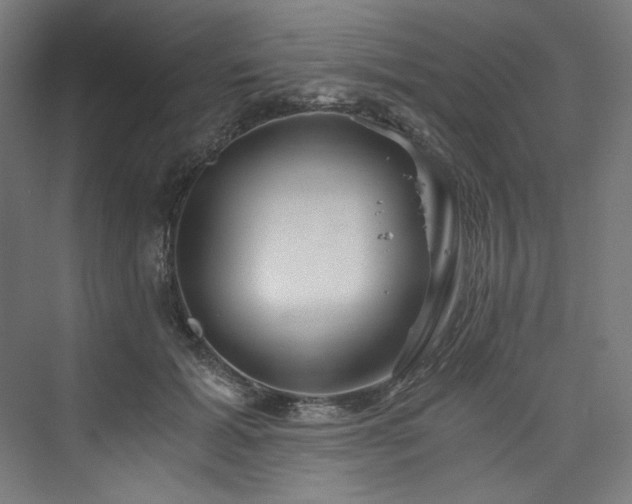 X0000074000605200608211416