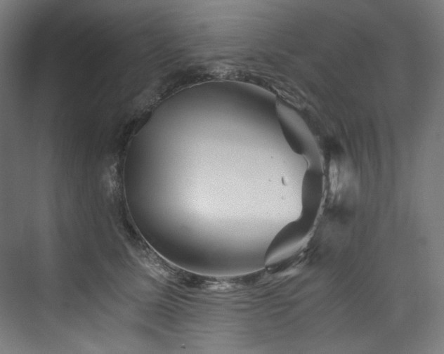 X0000074000611200608211416