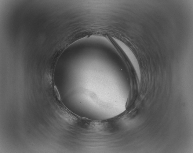 X0000074000613200608211415