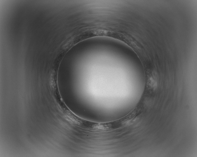X0000074000616200608211415