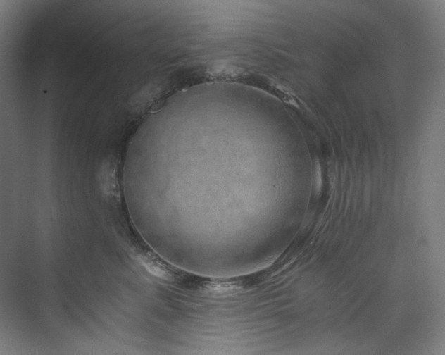 X0000074000619200608211415