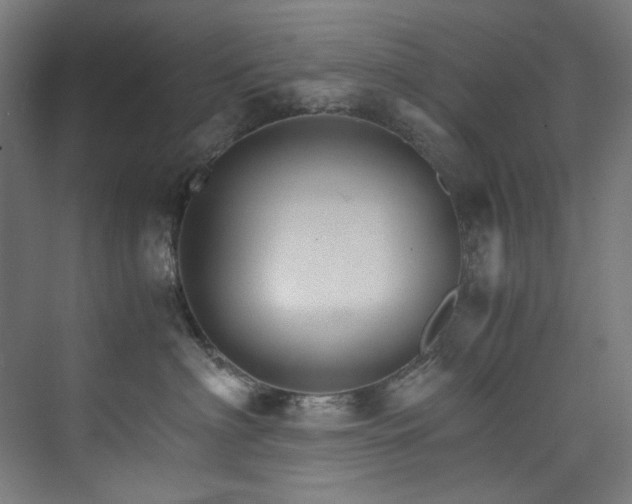 X0000074000622200608211415