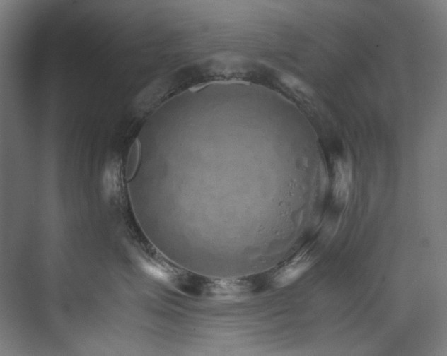 X0000074000623200608211415