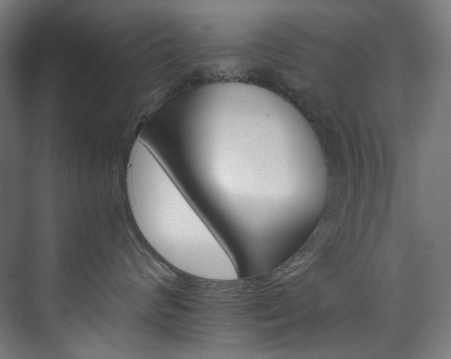 X0000074000624200608211415