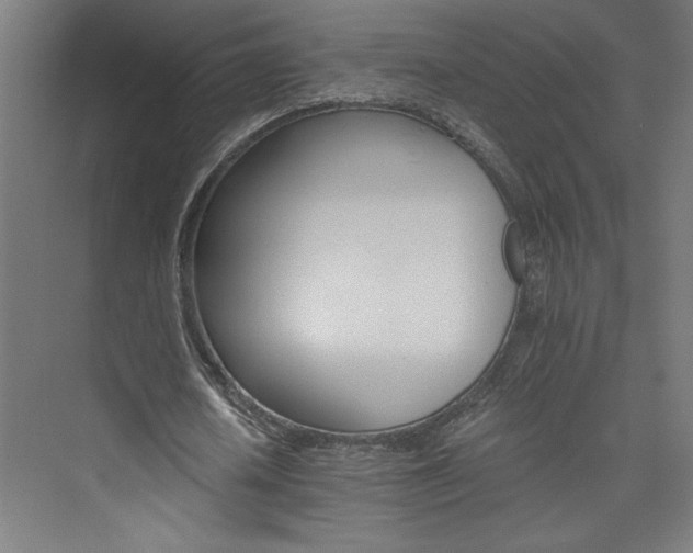 X0000074000626200608211415