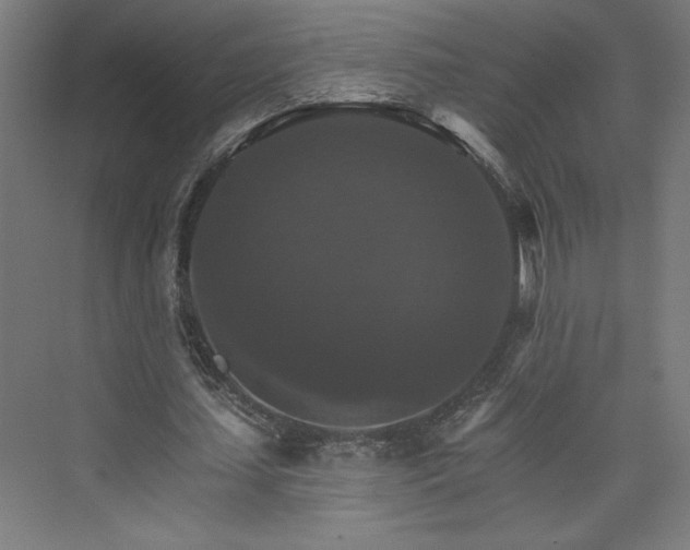 X0000074000627200608211415