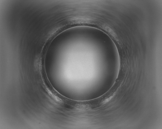 X0000074000629200608211415