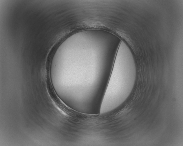 X0000074000630200608211415