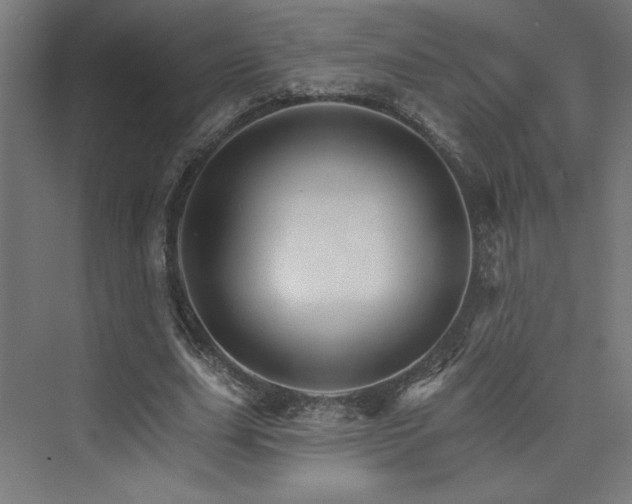 X0000074000631200608211415