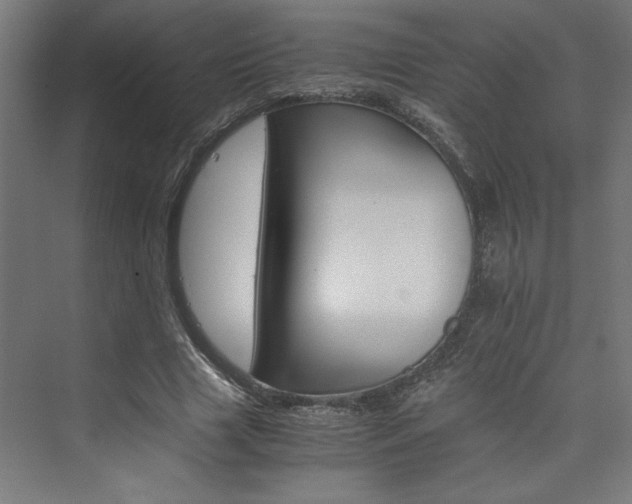 X0000074000633200608211415
