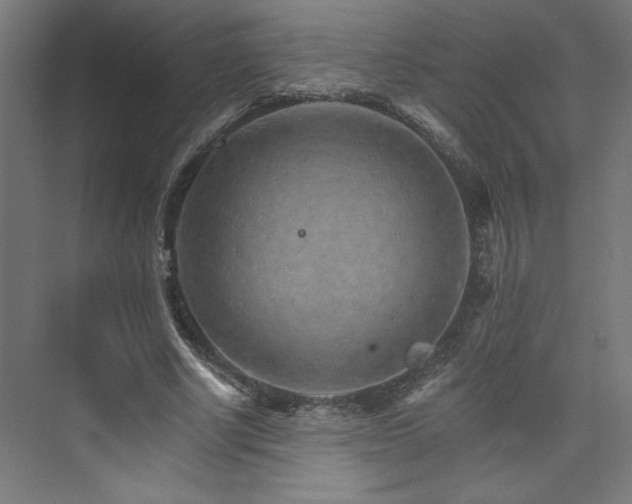 X0000074000634200608211415