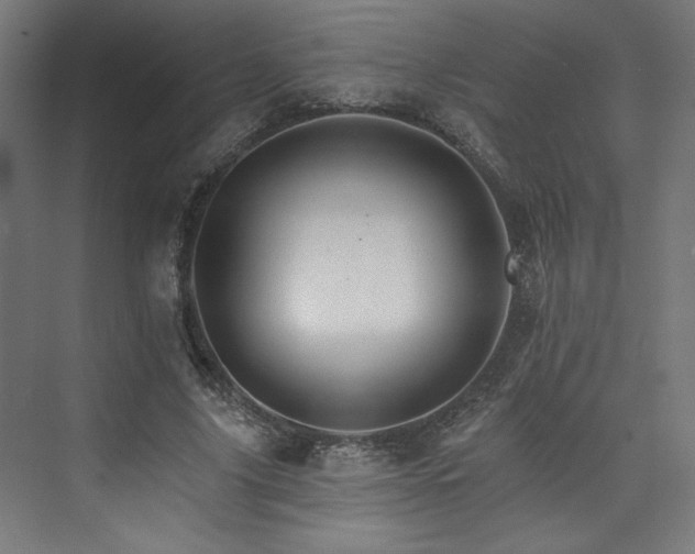 X0000074000635200608211415