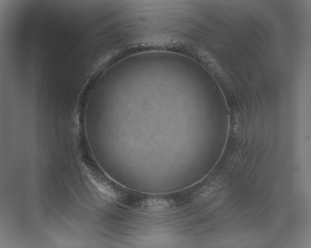 X0000074000636200608211415