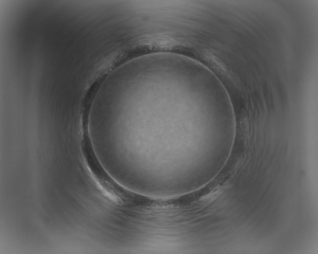 X0000074000638200608211415