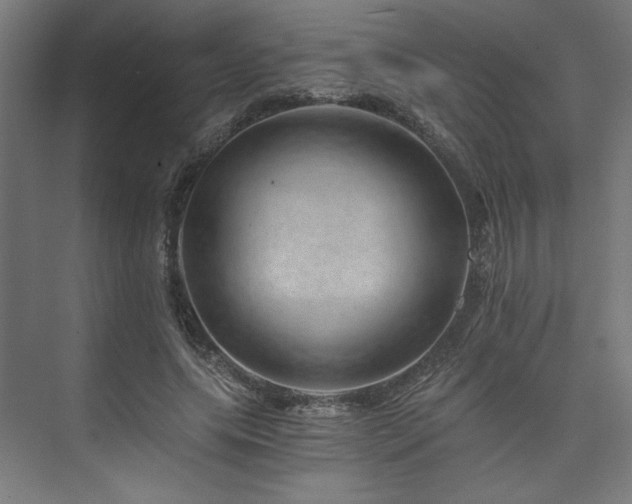 X0000074000639200608211415