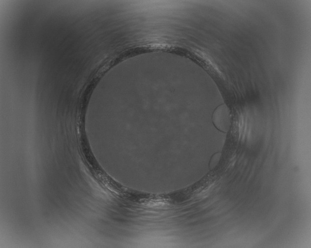 X0000074000643200608211415