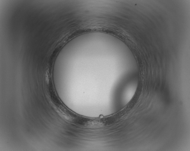 X0000074000644200608211415