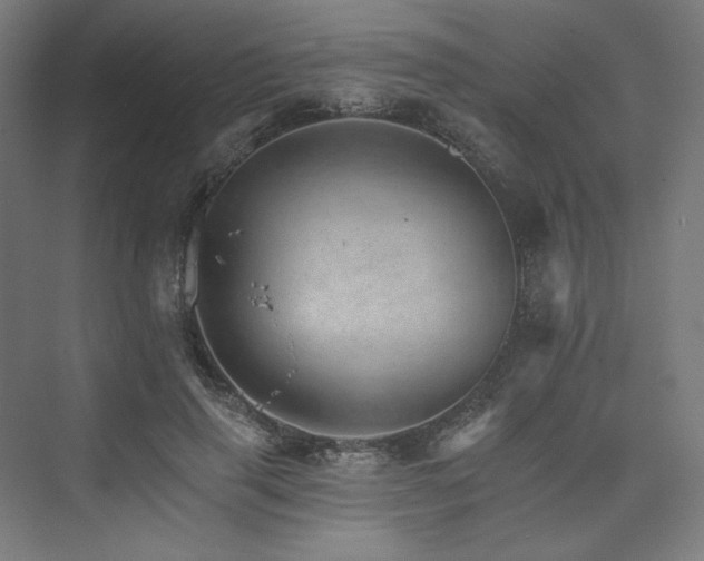X0000074000645200608211415