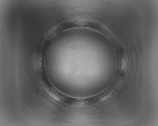 X0000074000646200608211415