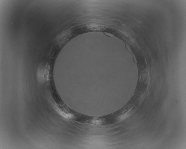 X0000074000647200608211415
