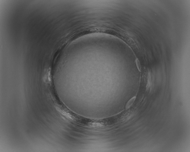 X0000074000649200608211415