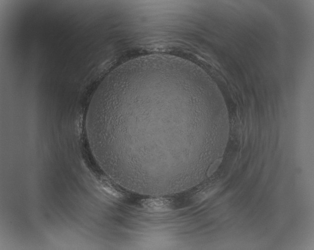 X0000074000652200608211415
