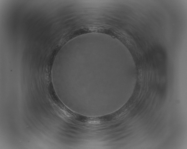 X0000074000653200608211415
