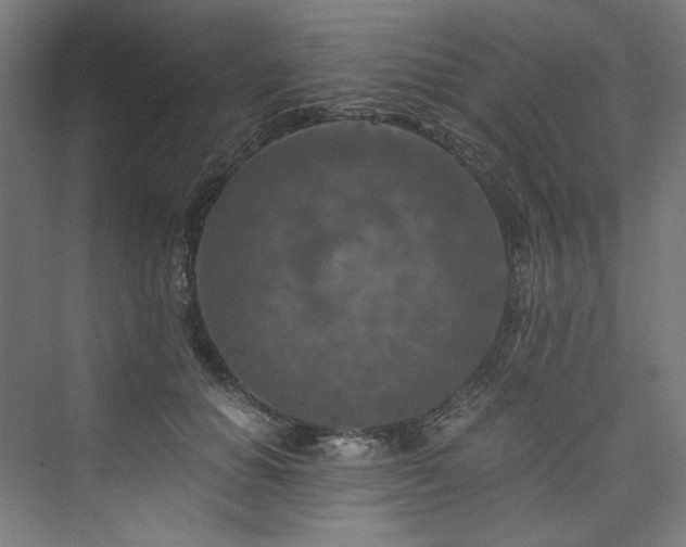 X0000074000654200608211415