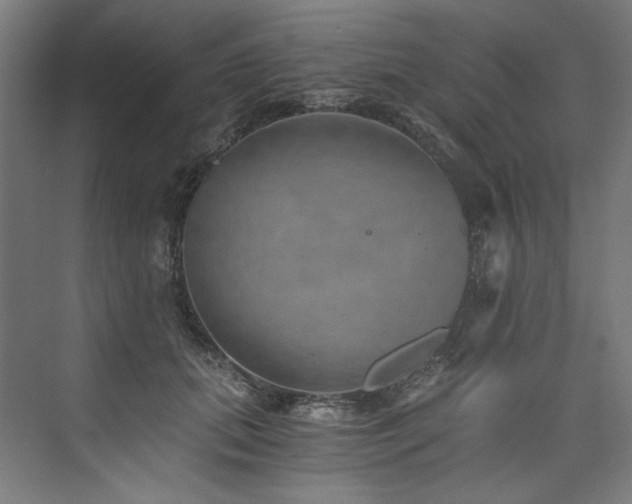 X0000074000655200608211415
