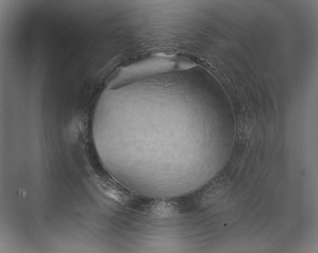 X0000074000656200608211415