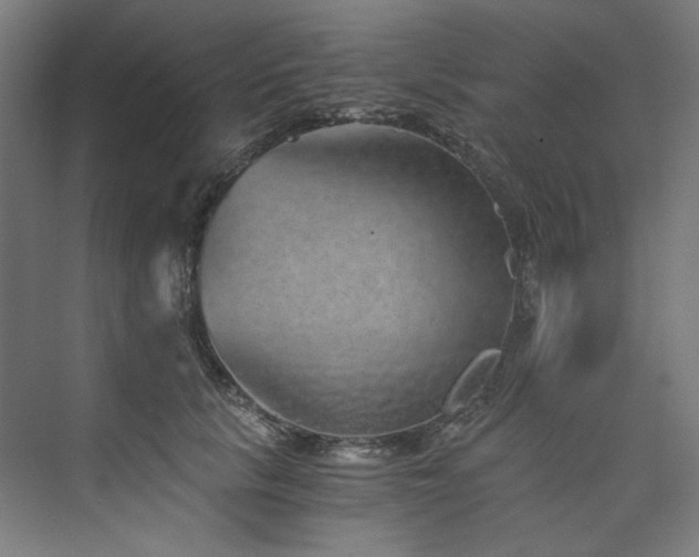 X0000074000657200608211415