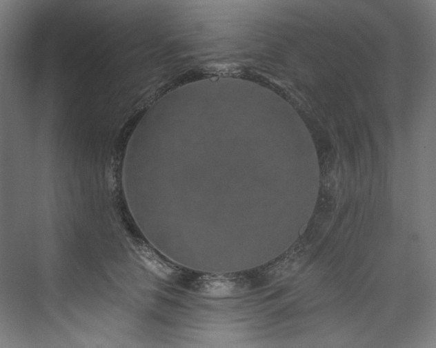 X0000074000658200608211415
