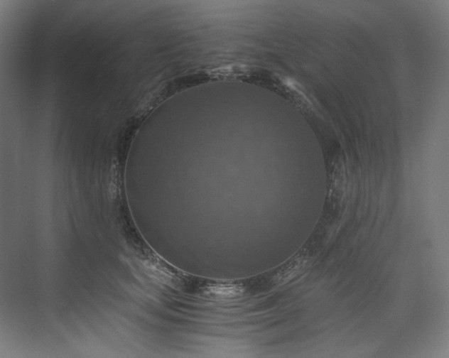 X0000074000659200608211415
