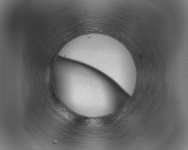 X0000074000660200608211415